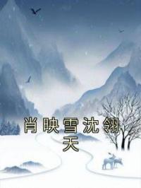 肖映雪沈翎天